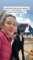 Chico