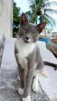 Tom