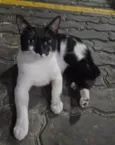 Filipinho