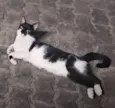 Filipinho