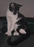 Filipinho