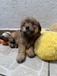 Lunna