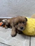 Lunna