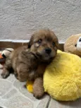 Lunna