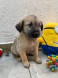 Lucas