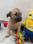 Lucas