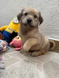 Leonardo