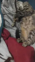 Kimi