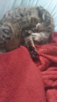 Kimi