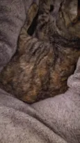 Kimi