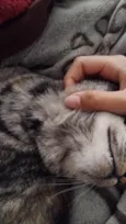 Kimi