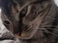 Kimi