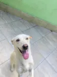 Mel