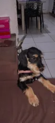 Não tem nome