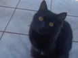 Salem