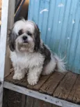 Bob