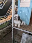 Bob