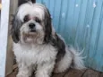 Bob