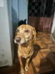 NICK