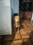 NICK