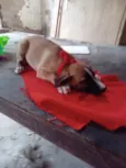 Lua