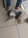 Bob