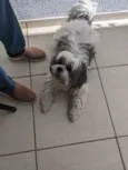 Bob