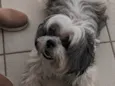 Bob