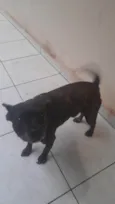 Floyd 