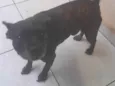 Floyd 