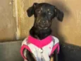 Zoe