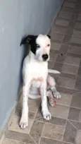 Nick
