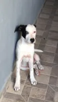 Nick