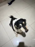 Jack