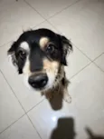 Jack
