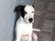Nick
