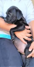 Marcos