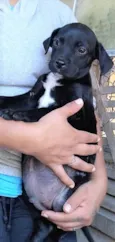 Marcos