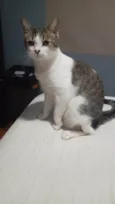 Lord