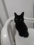 Lili 