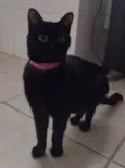 Lili 