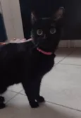 Lili 