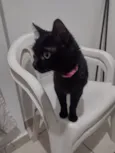Lili 