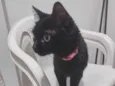 Lili 