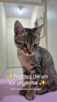 Sem nome 