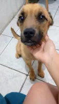 Spuddy