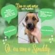 Spuddy
