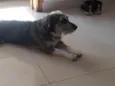 Márcio 
