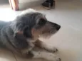 Márcio 
