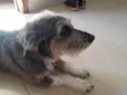 Márcio 